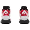 Basket-ball Blanc/Rouge