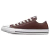 Chaussures Chuck Taylor All Star « Eternal Earth »