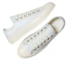 Chuck 70 Low Lace Trim « Egret Barely Grey »