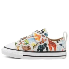 Chuck Taylor All Star 2v Little « White Multi »