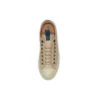 Chuck Taylor All Star « Beige Brown »
