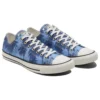 Chuck Taylor All Star « Blue Sunset Palm »