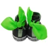 Chuck Taylor All Star Bow Back High Top « Black »