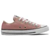 Chuck Taylor All Star « Canyon Dust »