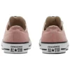 Chuck Taylor All Star « Canyon Dust »