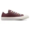 Chuck Taylor All Star Chaussures en matériaux mixtes « Eternal Earth »
