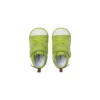 Chuck Taylor All Star Fruity « Green »