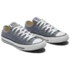 Chuck Taylor All Star « Gray White »