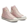 Chuck Taylor All Star High « Autumn Embroidery Stone Mauve »