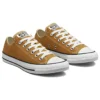 Chuck Taylor All Star Low « Burnt Honey »