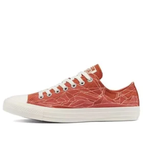 Chuck Taylor All Star Low « Summer Daze »