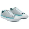 Chuck Taylor All Star Low « Summer Daze – Ash Stone »