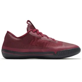 Chuck Taylor All Star Pro BB Low « Draft Night »
