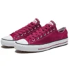 Chuck Taylor All Star Pro « Purple »