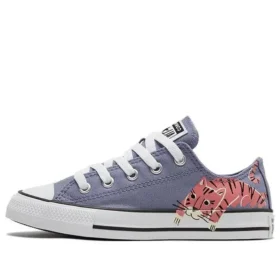 Chuck Taylor All Star « Purple Pink »