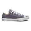 Chuck Taylor All Star Seasonal Low Top « Violet Blanc »