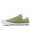 Chuck Taylor All Star Slip Low « Street Sage »