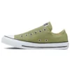 Chuck Taylor All Star Slip Low « Street Sage »