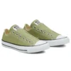Chuck Taylor All Star Slip Low « Street Sage »