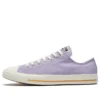 Chuck Taylor All Star « Violet »