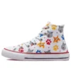 Chuck Taylor All Star « White Gray »