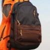 Sac à dos Straight Edge « Brown »