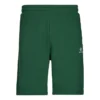 Short en polaire à coupe standard avec motif étoile et chevrons brodés « Go-To » – Tailles asiatiques « Vert »
