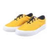 Skidgrip CVO « Gold Dart »