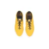 Skidgrip CVO « Gold Dart »