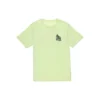 T-shirt Chuck Taylor All Star Summer Super Incredible Special, tailles asiatiques « Vert »