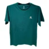 T-shirt Go-To à chevrons et étoile brodée, coupe standard, tailles asiatiques « Vert »