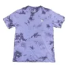 T-shirt Go-To Star Chevron Washed à coupe standard, tailles asiatiques « Purple »